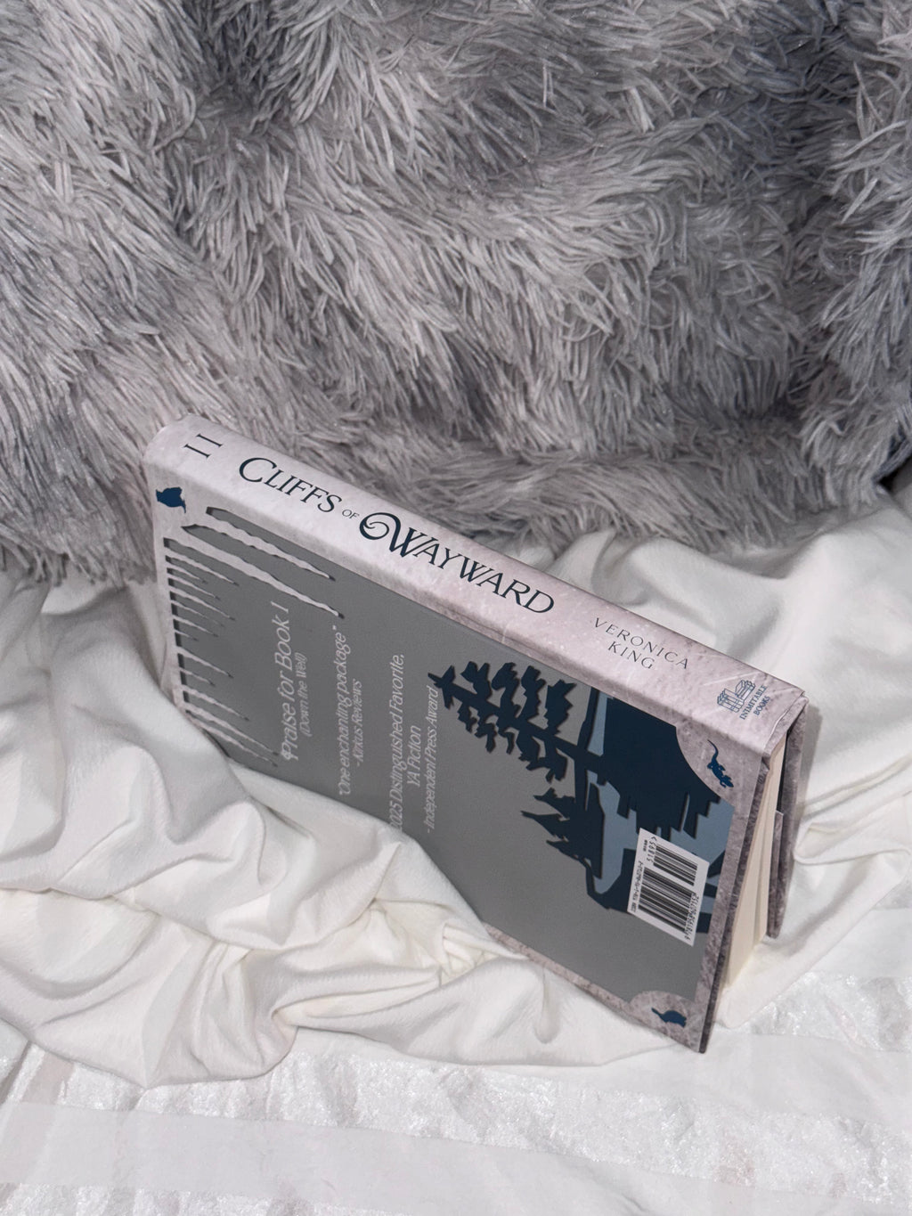 Cliffs of Wayward signed hardback